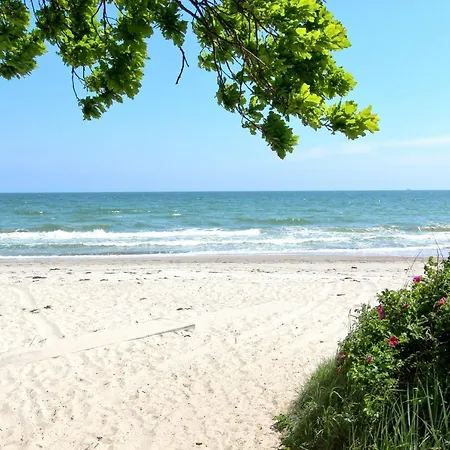 Apartment Strandnahe Rex Rugia Fewo: Terrasse & Ahoi Erlebnisbad Lobbe