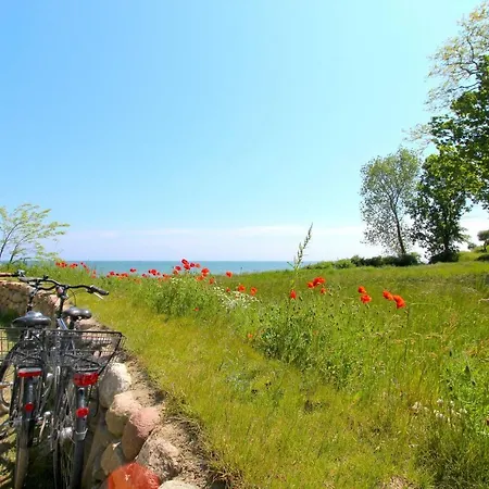 Strandnahe Mit Terrasse, Gratis Nutzung Vom Ahoi Erlebnisbad Und Sauna In Sellin - Rex Rugia 30-1 アパート